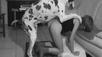 Monochrome footage of a lady and her pup