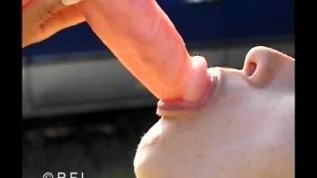 Fair-skinned girl jerking off this pony's huge dick