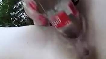 Open-air vaginal stretching encounter with an aroused canine