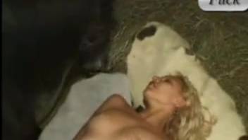 Stallion with an erect penis penetrating a blonde novice