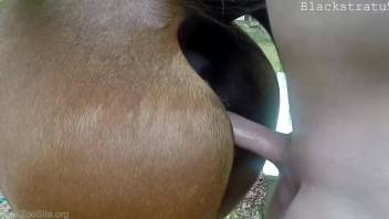 Pale guy shoves his hard dick in this mare's cunt