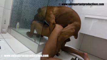 Disguised dark-haired woman is mounted by a brown beast here