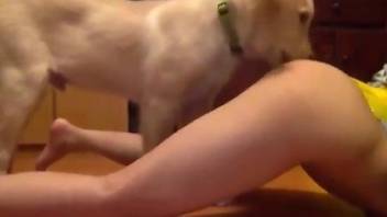 Hot pussy babe getting licked thoroughly by a dog