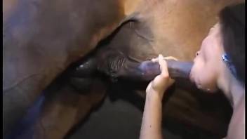 Big tits beauty worships a horse's cock in a hot fashion