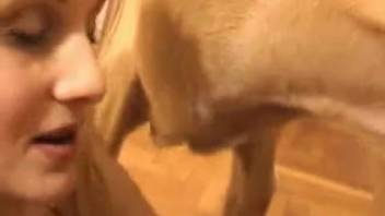 Bound blonde is pounded by a well-hung dog