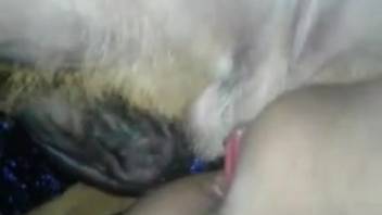 Intense anal intercourse in a homosexual zoophilia encounter