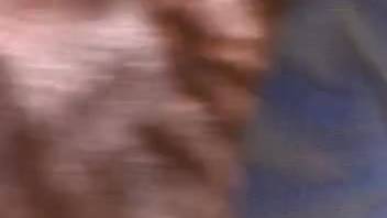 Dark-haired woman with a snug vagina relishing intense intercourse with a stallion