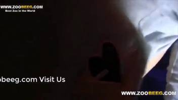 Pale-skinned hottie in a red mask is destroyed by a dog's penis