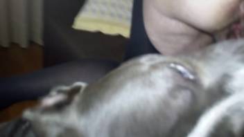 Hot canine tonguing her slit in a zoomed-in adult flick