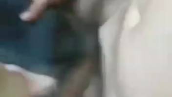 Guy thrusting into that snug canine vagina from behind