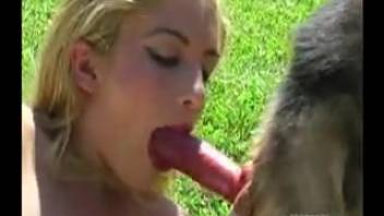 A blonde and a brunette getting pounded by a well-hung horse outside