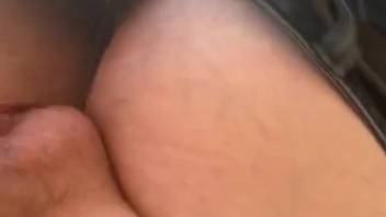 Guy's impressive cock is tongued by a lustful beast
