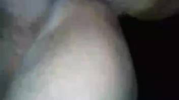 Beast lover with damp testicles screwing a grimy mutt