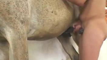 Small boobs Latina getting fucked by a hung stallion