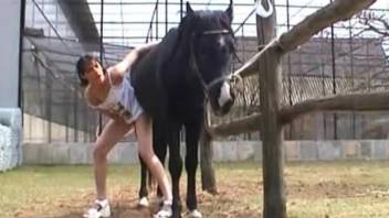 Brunette ends amazing horse porn zoo action with sperm on her face