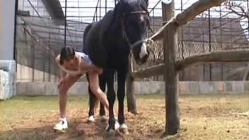 Dark-haired woman finishes incredible horse bestiality zoo scene with cum covering her face