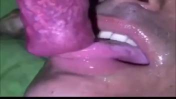Steamy blowjob session with a canine that craves that lustful mouth