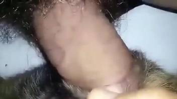 Dude with a hairy cock pounding this creature's hole