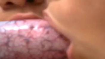Pair of Latina hotties alternate deep-throating a canine's cock