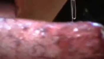 Slut deepthroats full canine cock and guzzles cum like a tramp