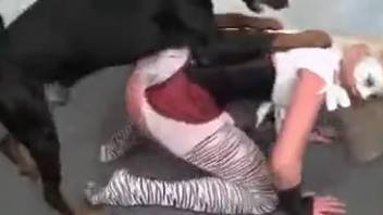 Sexy blonde wearing hot stockings is about to get banged senseless