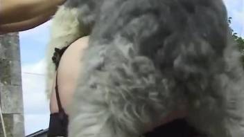 Milf gets the furry mutt to hump her ass and pussy
