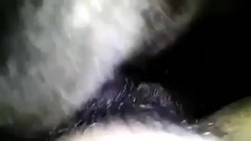Aroused guy thrusts his entire cock deep into a female dog's vagina