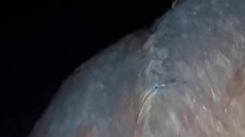 Late night horse fucking zoo sex for a horny man