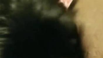 Furry animal closeup sex scenes on live camera