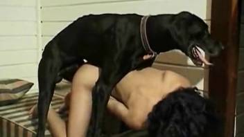 Dark-haired chick screwed like a budget slut right on the spot