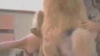 Brown dog and two bisexual blonde babes fucking