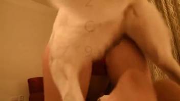 Rear-entry pounding with a blonde zoophilia fanatic