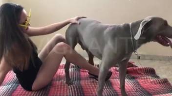 Amateur with a mask on has her bushy pussy screwed by a dog