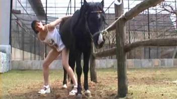 Horny MILF allows horse to cum on her face after intense zoo animal banging