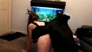 Mask-wearing zoophile babe getting fucked on all fours