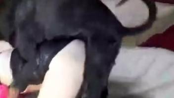 Steamy sex encounter with a leather-clad babe
