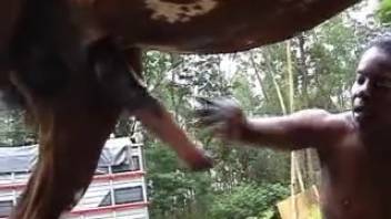 Dark-skinned and perspiring whore banging a well-endowed stallion in the open air