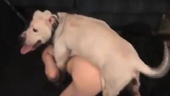Sexy woman doggy style fucked by a dog