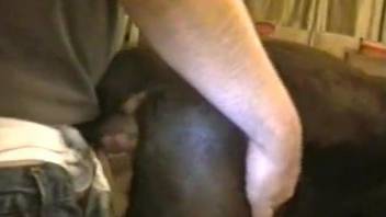Black dog takes this guy's massive load on the face