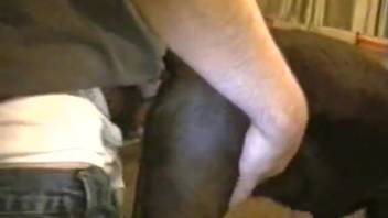Dark mutt receives this dude's enormous cumshot on its face