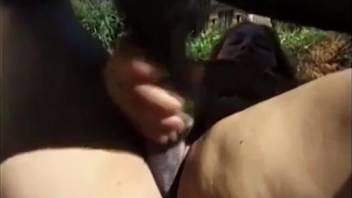 Blonde lady performs oral sex on massive equine penis in unique positions