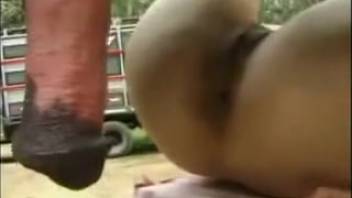Obedient slave girl has sex with a horse while her mistress watches