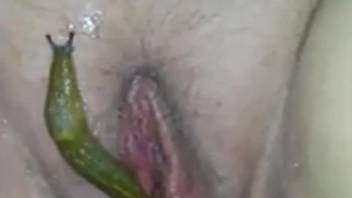 Bare mature woman delights in a large snail slithering into her vagina
