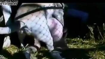 Farm whore getting fucked violently in the cage