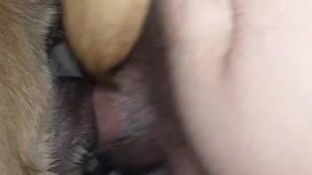 Hot guy dominates a dog's pussy with his hot dick