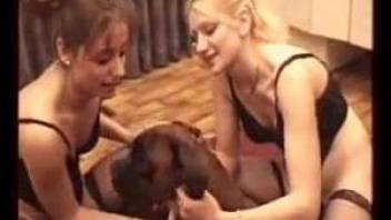 Two good-looking women team up to fuck a pooch