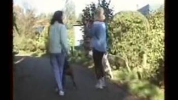 Hot booty chicks in steamy underwear banging a dog on webcam