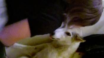 Emo girl getting steamy with her aroused pet on webcam