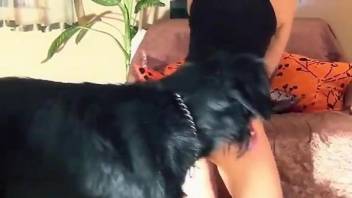 Thong-wearing beauty getting banged by a kinky dog