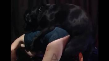 Nude girl acts submissive in complete bestiality male domination